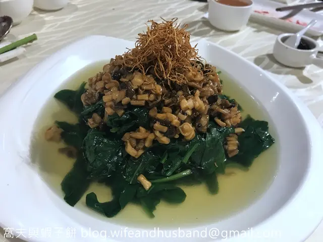 有機BB菠菜苗