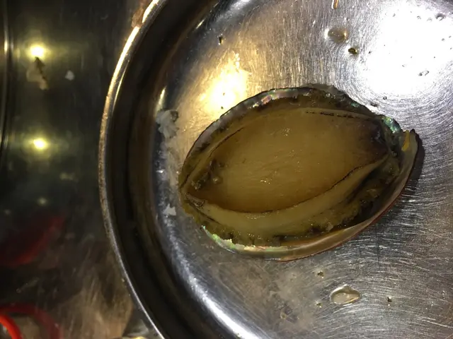 鮑魚