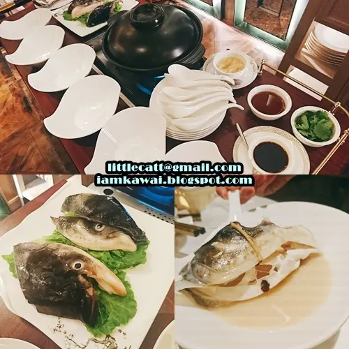 川芎百芷魚頭湯