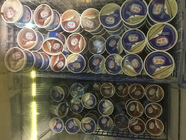 飯後甜品還有雀巢公司雪糕、獨立包裝的糯米糍和少量布丁和奶凍。