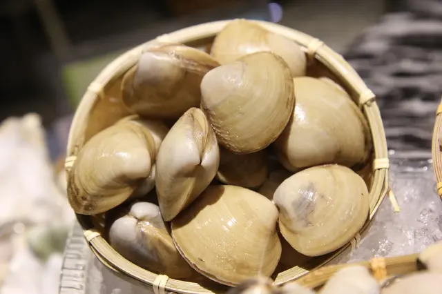 海沙白