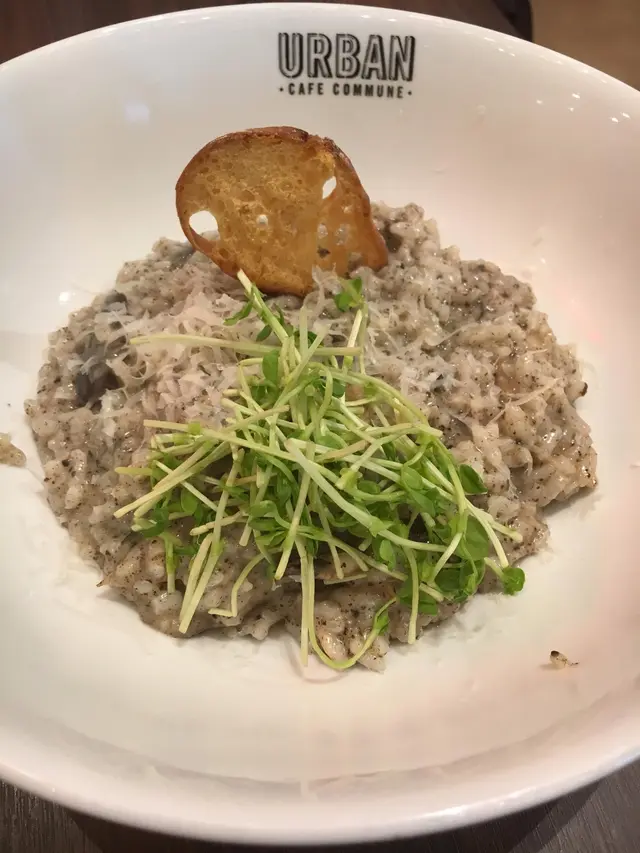 意大利北菇松露燉飯