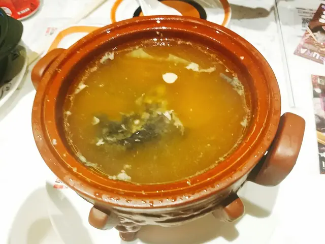 鳥雞湯