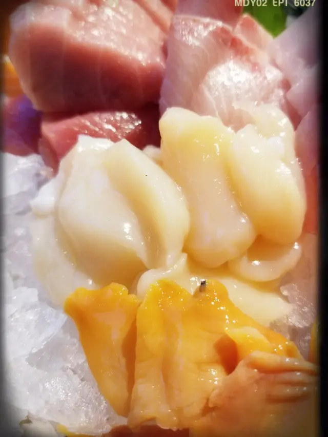 北海道帶子刺身