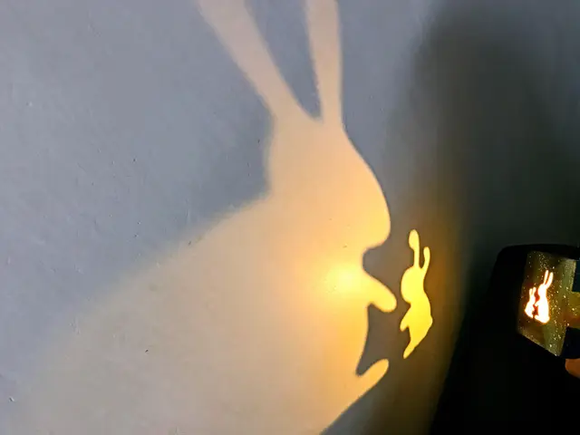 投影燈籠