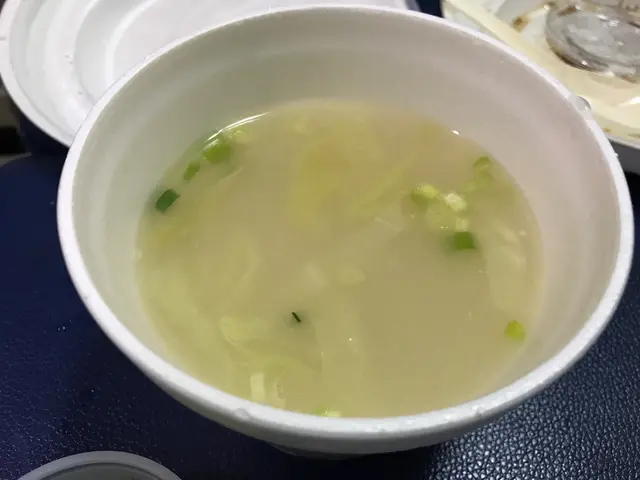 海南雞飯-雞湯