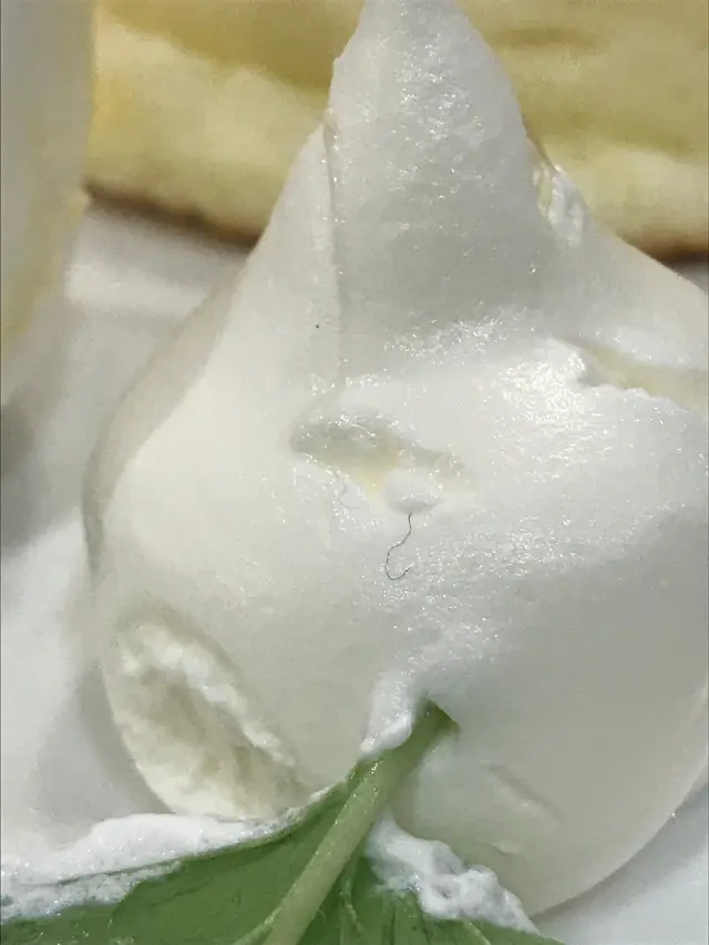 放大睇原來係兩條毛