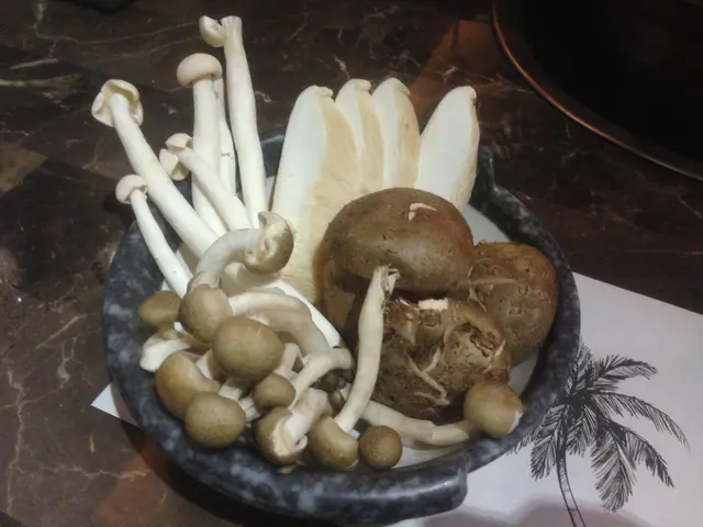養生菇菌籃