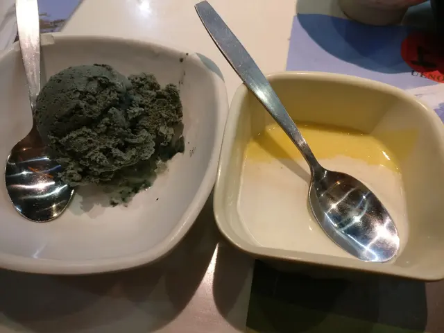 芝麻雪糕&雞蛋布甸