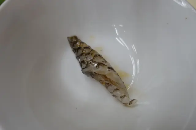 這裡的灼魚皮晶瑩剔透，入口富彈性帶嚼勁！