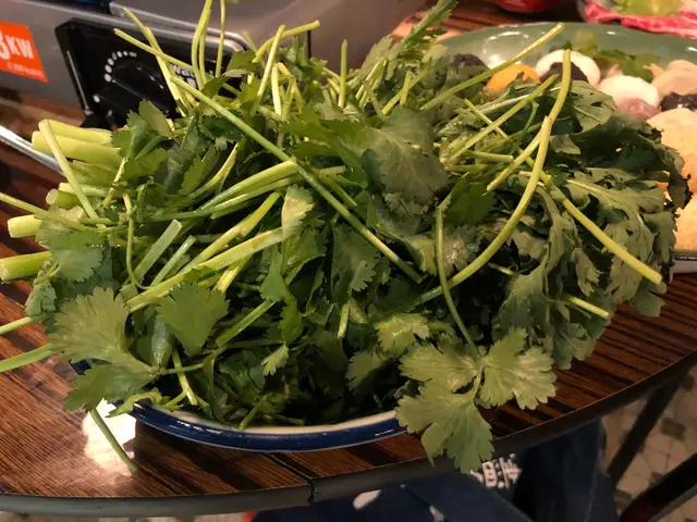莞茜