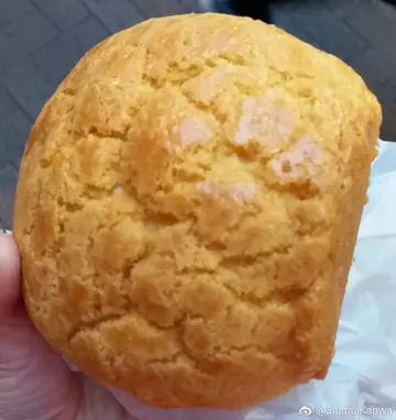菠蘿包