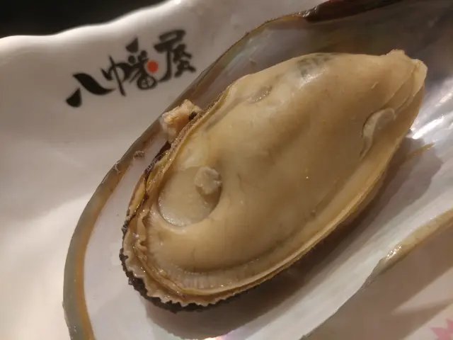 青口