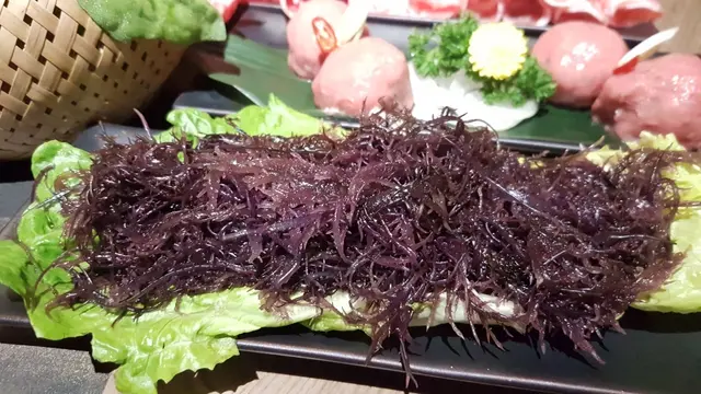 南極冰藻
