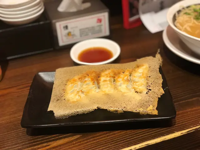 羽根燒餃子