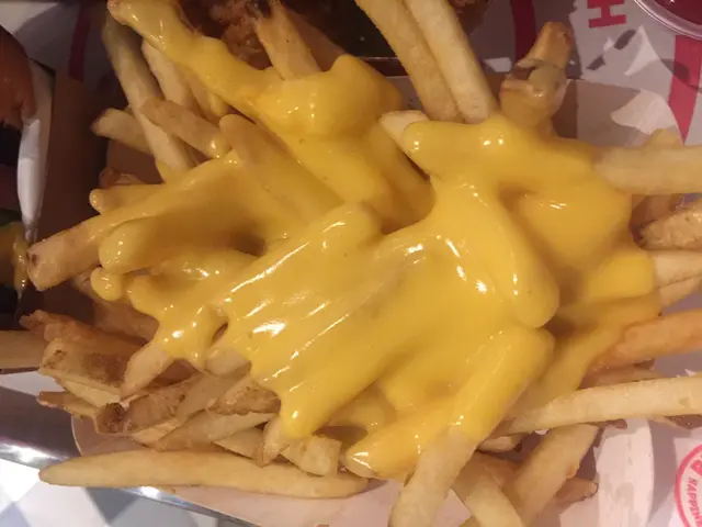 Melted Cheese Fries