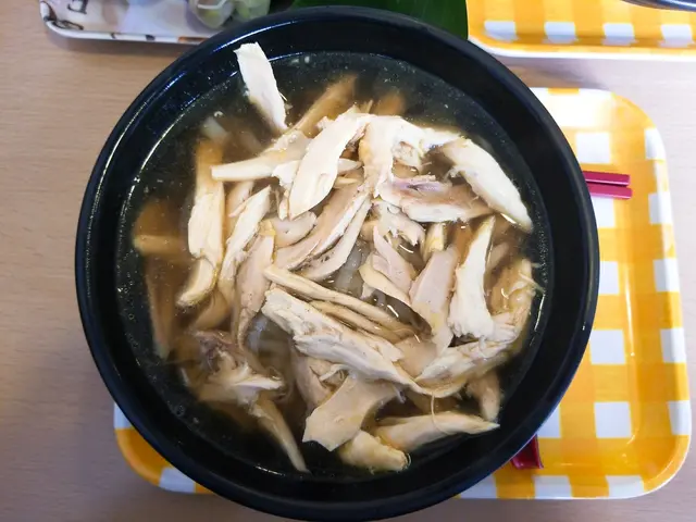雞絲湯河