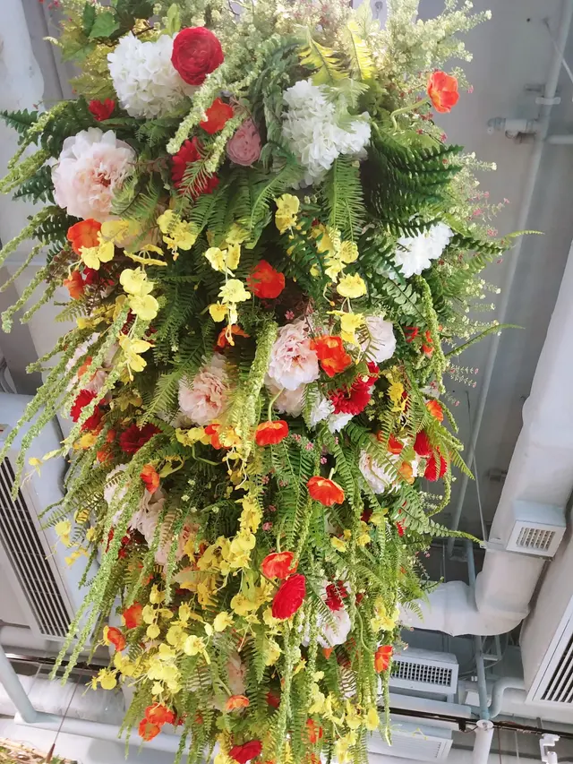 靚靚花花