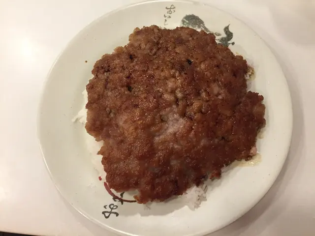 生煎肉餅飯
