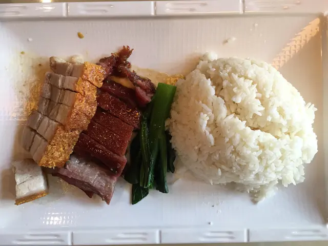 假日午餐A - 叉燒燒肉飯