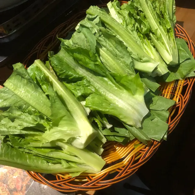 幾抵食