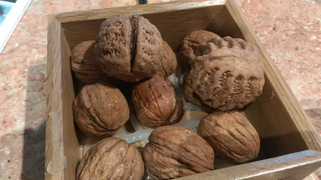 棗蓉合桃