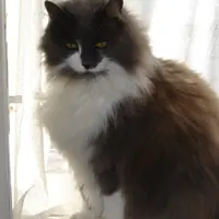 enter