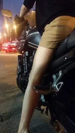 醉貓仙