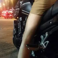 醉猫仙