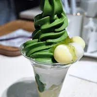 藍梅杯