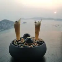 為食柔
