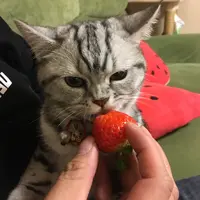 Nikki :P