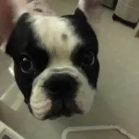 Yukyuk