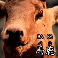 shino-b