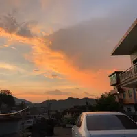 木公