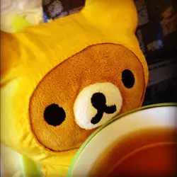 可可豆