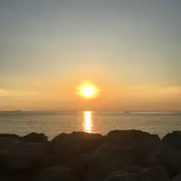 食野王~~~