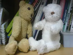 我最錫我老婆最錫我