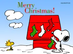carol_carol