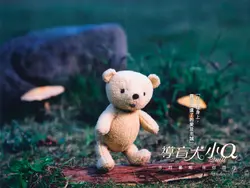 過氣米舖太子女