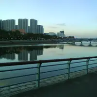 凍田