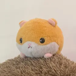 倉鼠b-v-