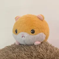 倉鼠b-v-