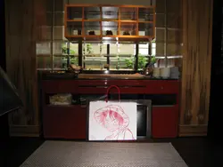 峰記