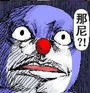 星野豪豬
