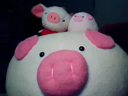 胖胖侶*