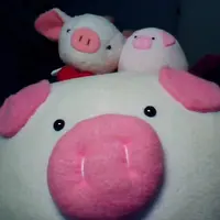 胖胖侣*