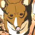 伊恩犬