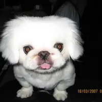 挑剔天后