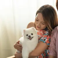 屺君
